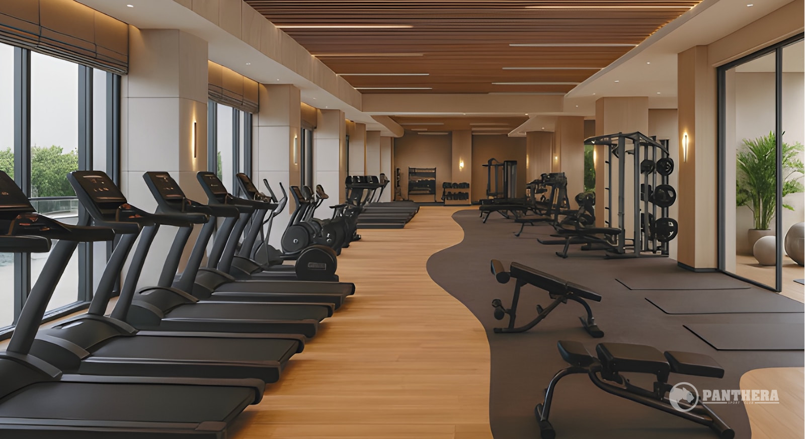 Zona de cardio montada