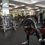 Chest Press