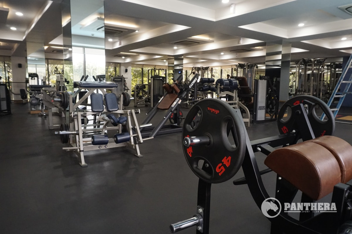 Chest Press Chest Press