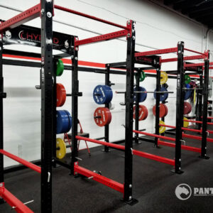Animal Half Rack