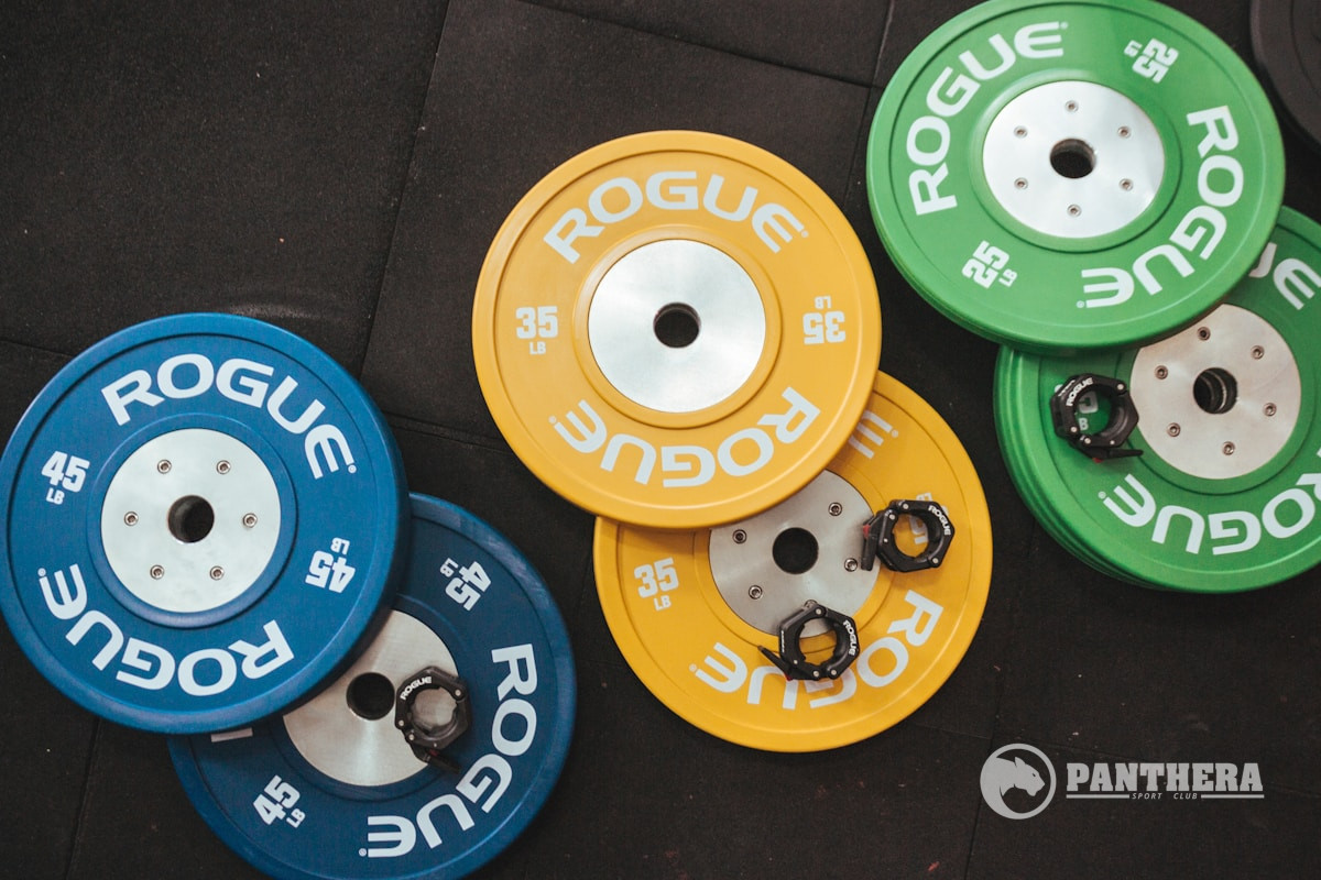 Watson Olympic Weight Plates Watson Olympic Weight Plates