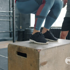 Plyo Box Set