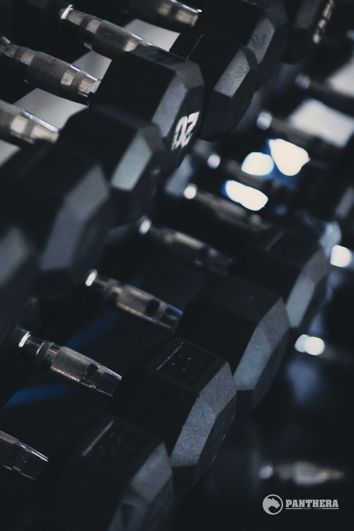 Watson Pro Dumbbells Watson Pro Dumbbells