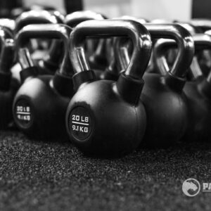 Watson Pro Kettlebells